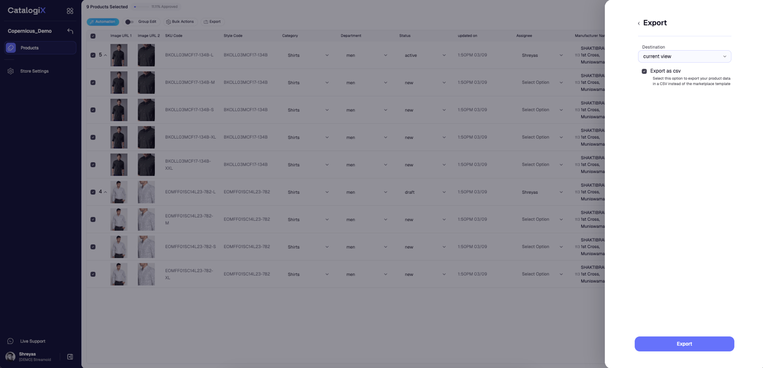 Export modal for current view