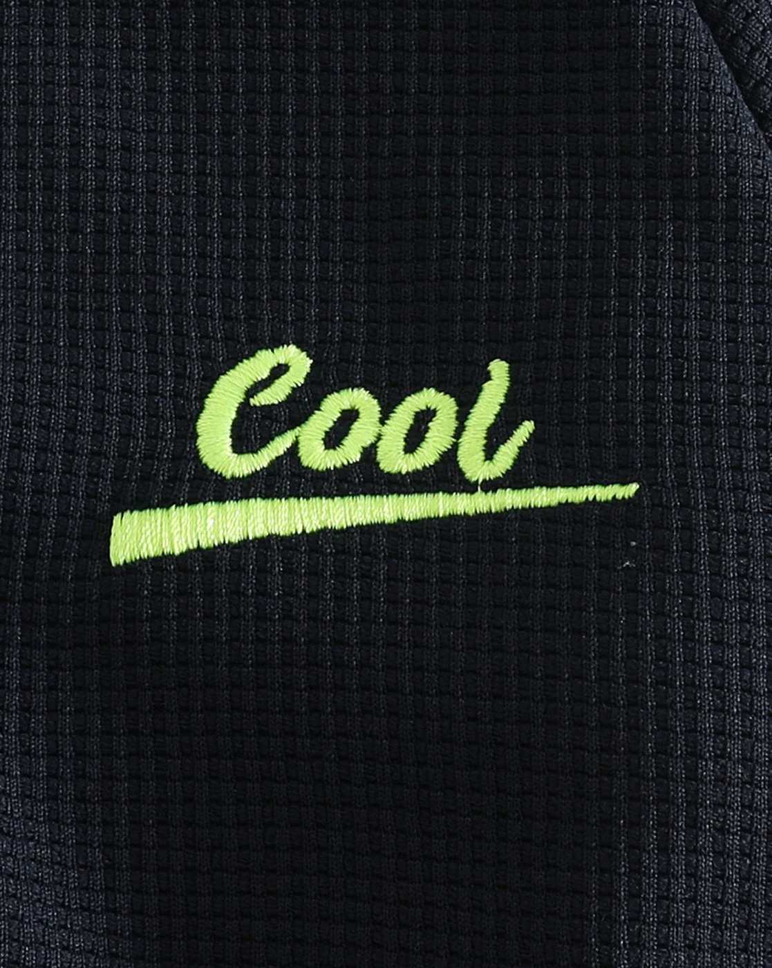 1323954